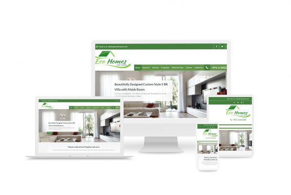 eco homes realestate