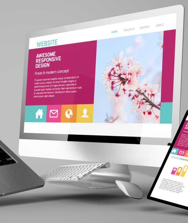 web-designing-in-pakistan